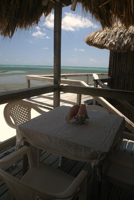 Exotic Caye Beach Resort San Pedro  Room photo