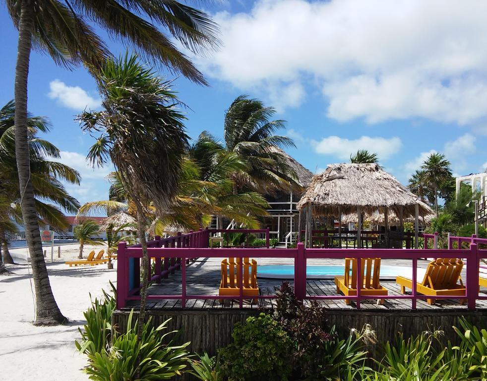 Exotic Caye Beach Resort San Pedro  Exterior photo